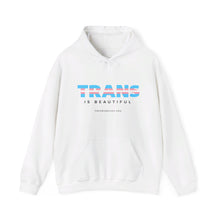 Load image into Gallery viewer, Trans is Beautiful Hoodie