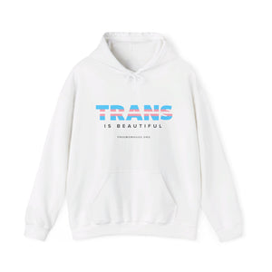 Trans is Beautiful Hoodie