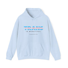 Load image into Gallery viewer, Trans is Beautiful Hoodie