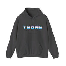 Load image into Gallery viewer, Trans is Beautiful Hoodie