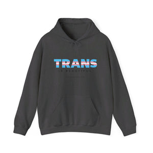 Trans is Beautiful Hoodie