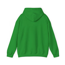 Load image into Gallery viewer, FMH Trans Logo Hoodie