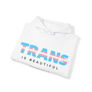 Trans is Beautiful Hoodie