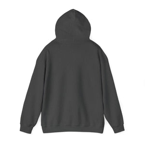 Trans Bear Free Dad Hugs Hoodie