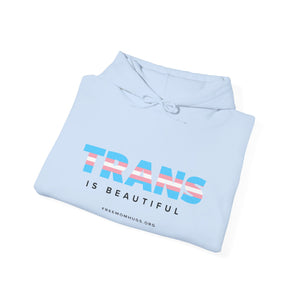 Trans is Beautiful Hoodie