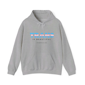 Trans is Beautiful Hoodie