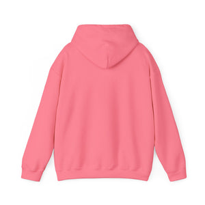 Trans Bear Free Dad Hugs Hoodie