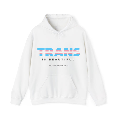 Trans is Beautiful Hoodie