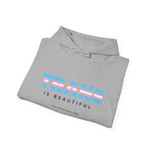 Trans is Beautiful Hoodie